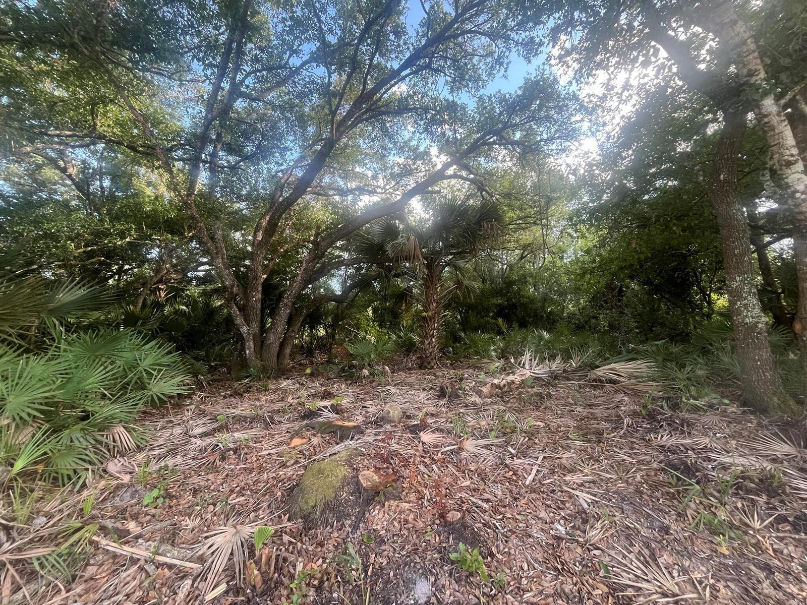 17774 NW 254th Street, Okeechobee FL 34972 photo 2