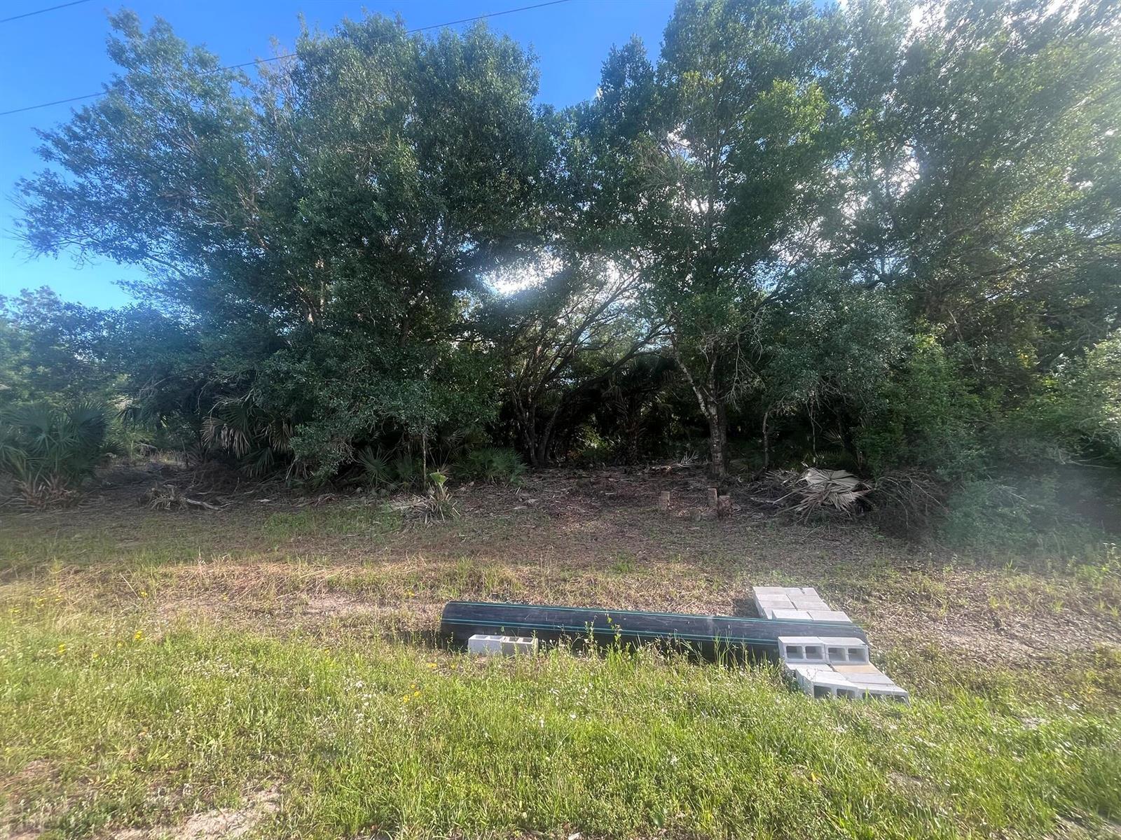 17774 NW 254th Street, Okeechobee FL 34972 photo 5
