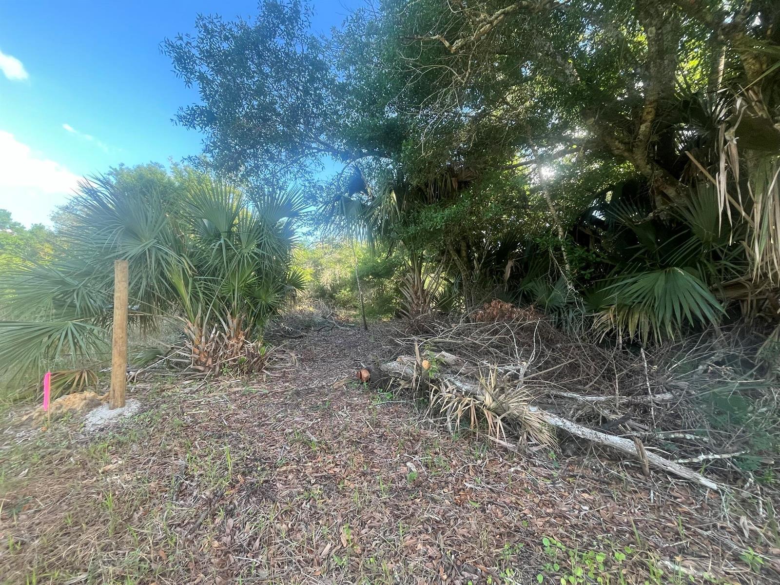 17774 NW 254th Street, Okeechobee FL 34972 photo 4
