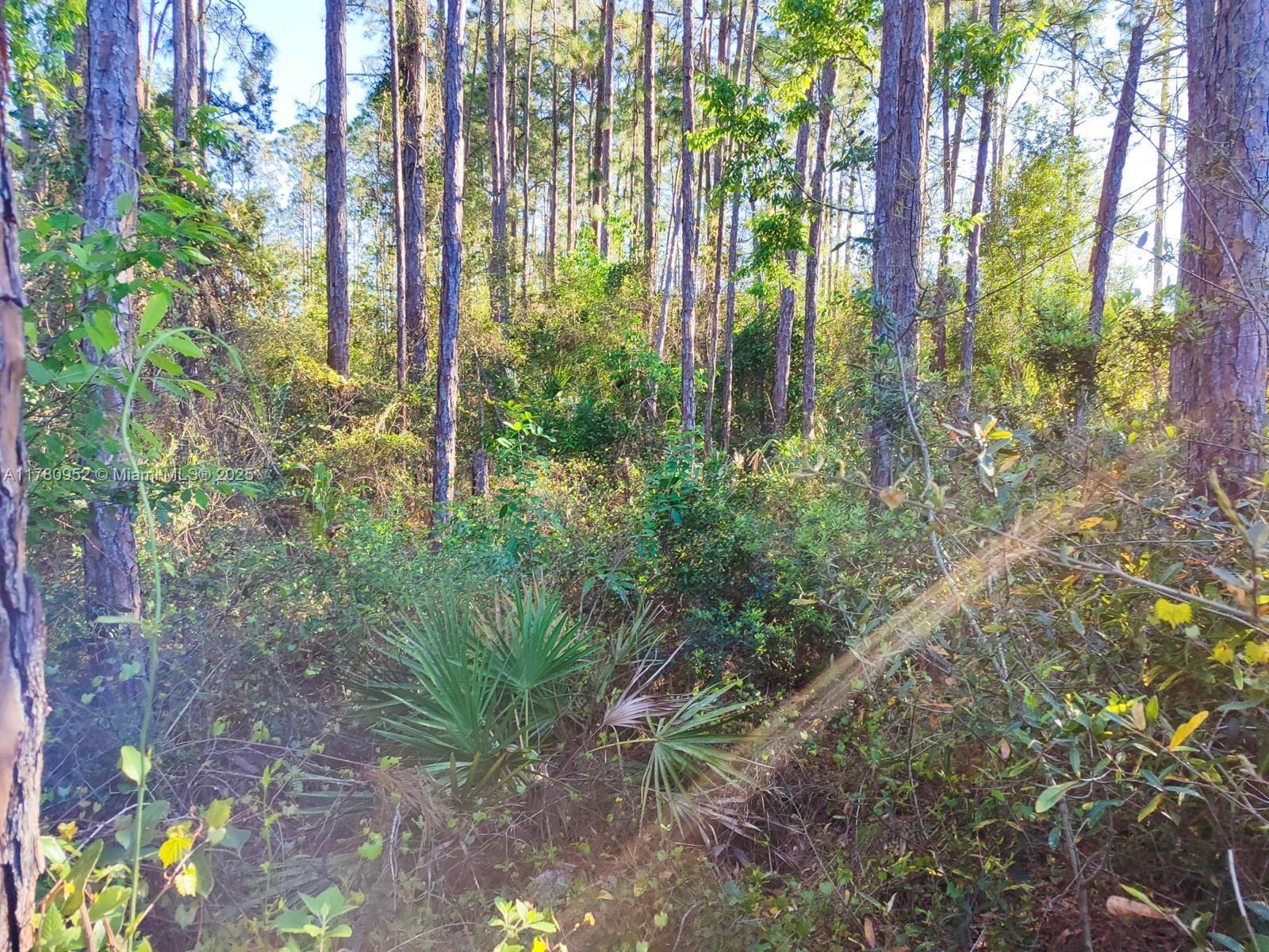 5 Seoane Pl, Palm Coast FL 32164 photo 4