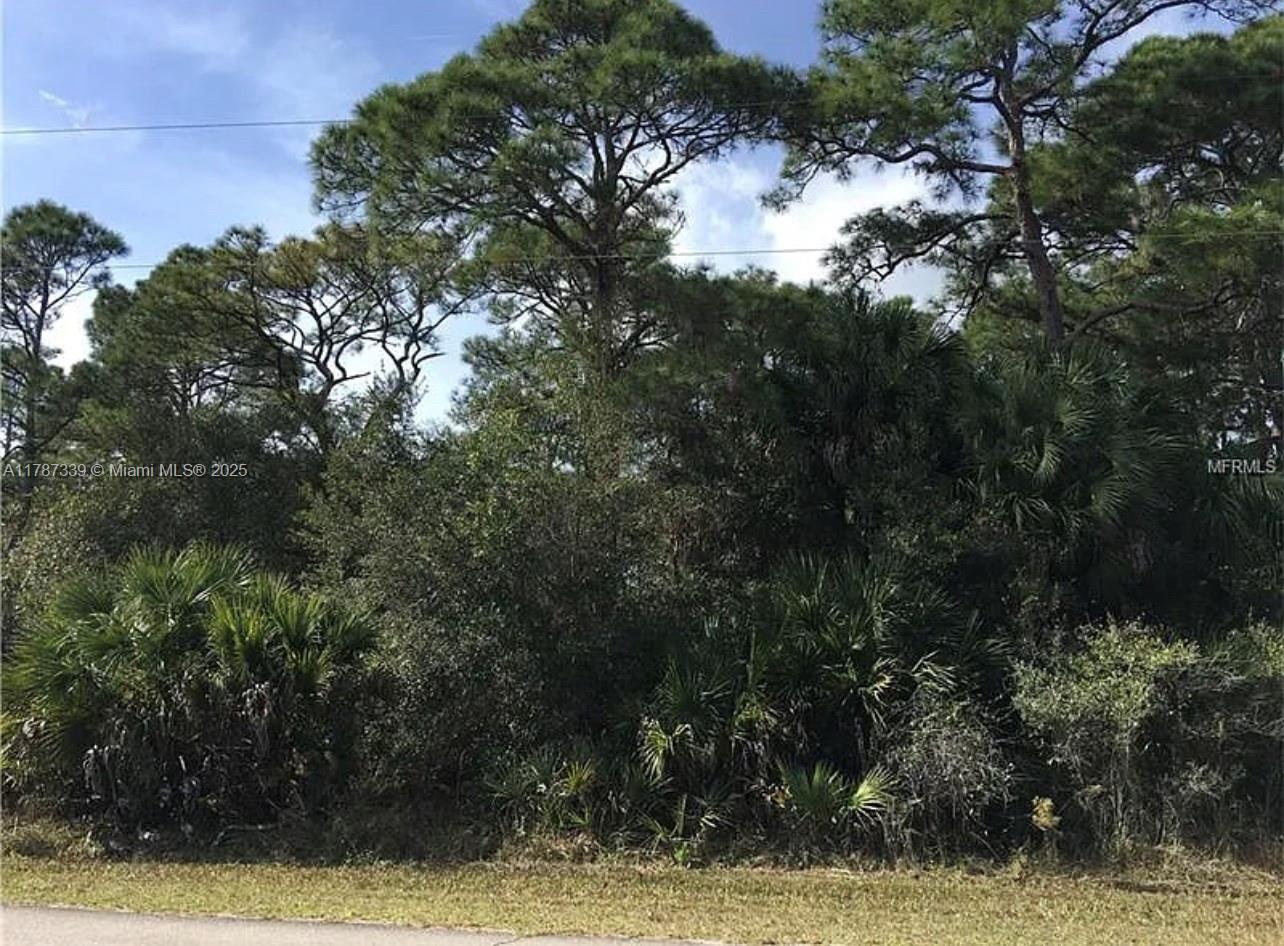 Port Charlotte, FL 33953 photo 2