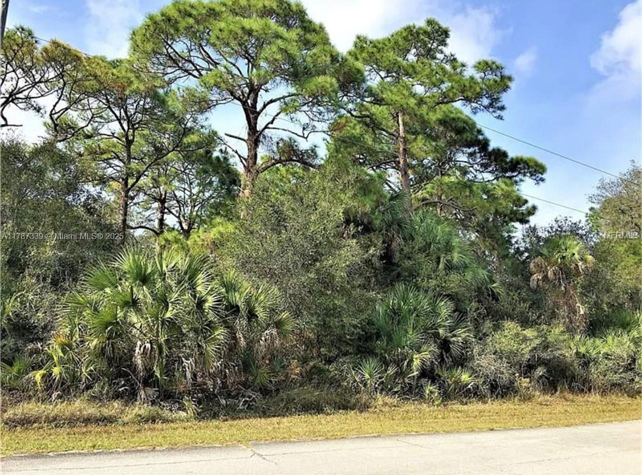 Port Charlotte, FL 33953 photo 5