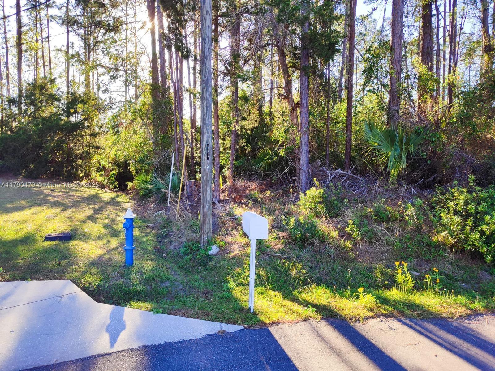 9 Sedan Pl, Palm Coast FL 32164 photo 3