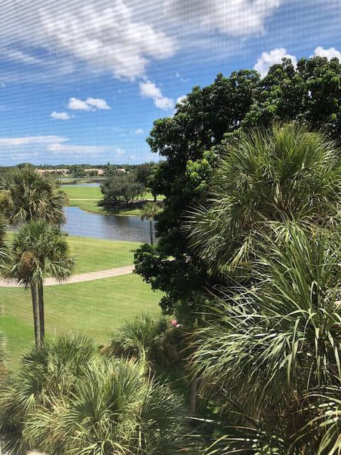6895 Willow Wood Drive # 1055, Boca Raton FL 33434 photo 3