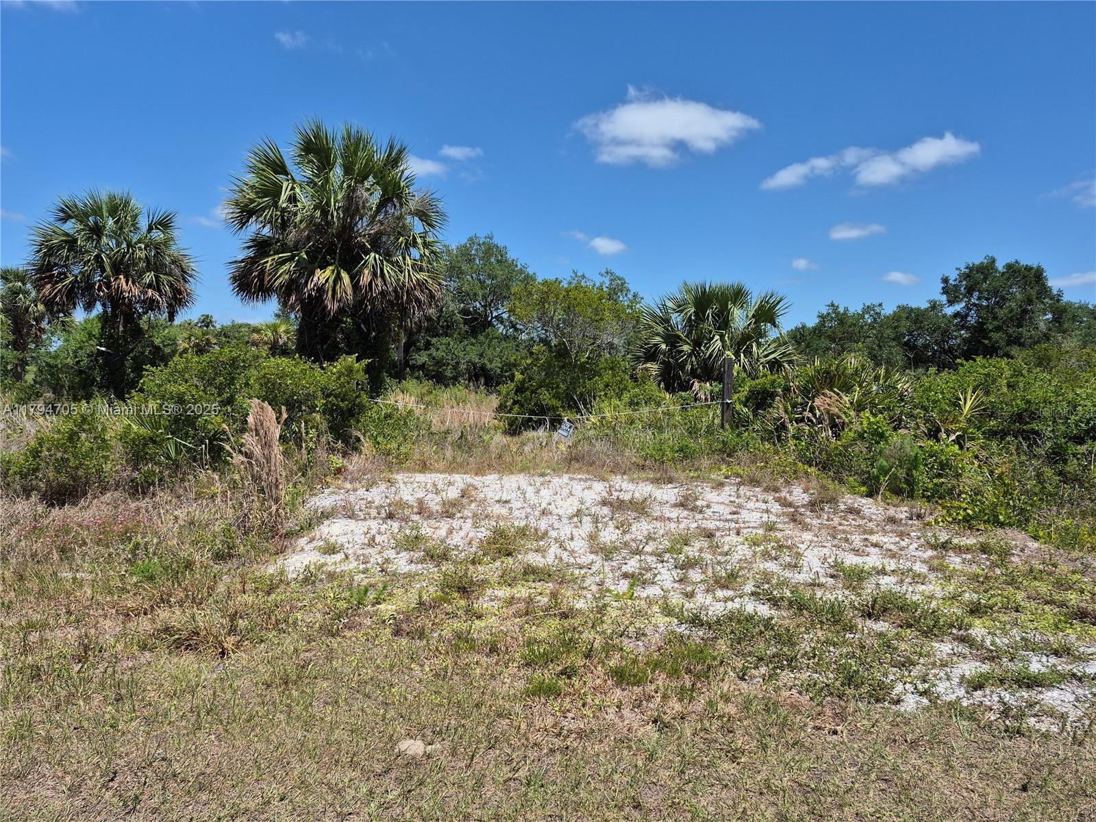 17763 NW 310th Street, Okeechobee FL 34974 photo 2