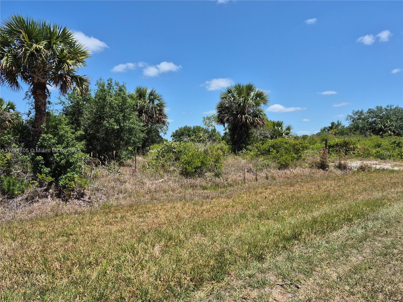 17763 NW 310th Street, Okeechobee FL 34974 photo 3