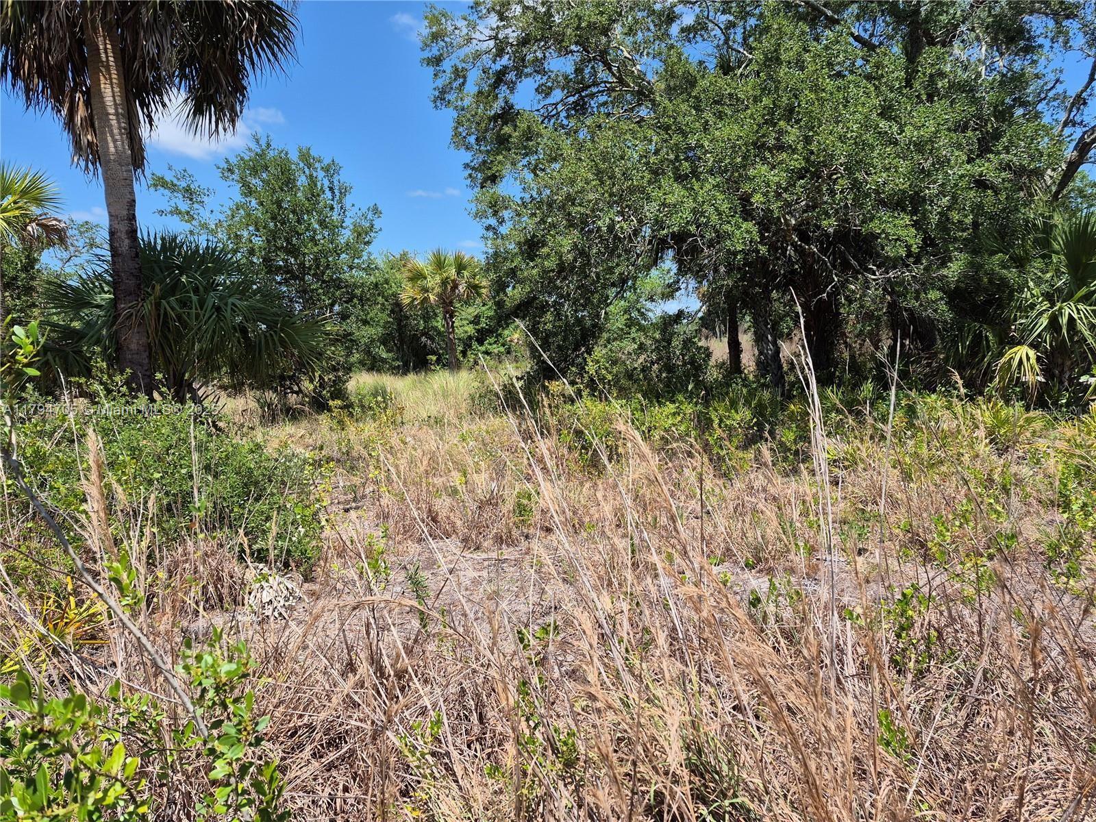 17763 NW 310th Street, Okeechobee FL 34974