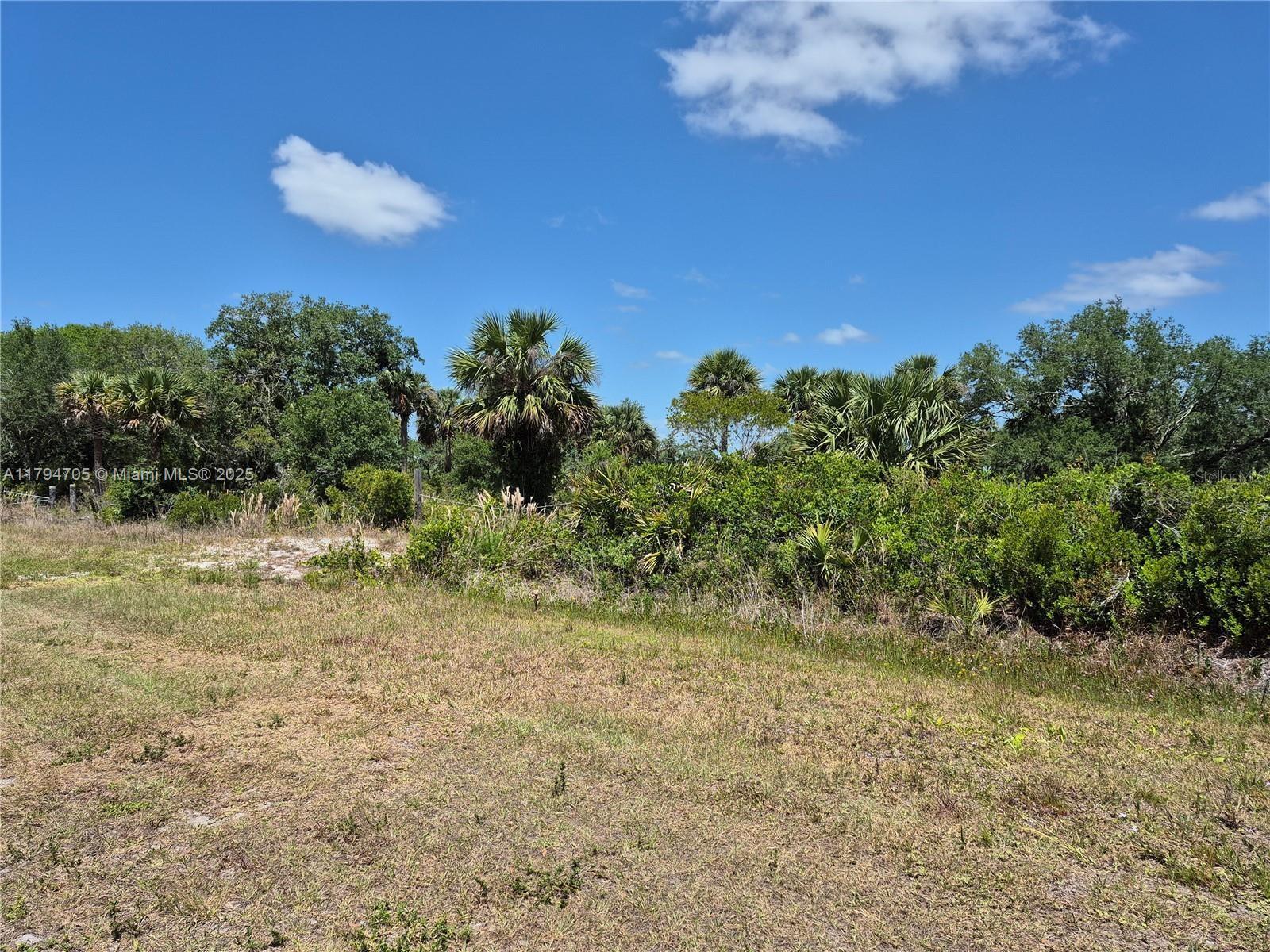 17763 NW 310th Street, Okeechobee FL 34974 photo 5
