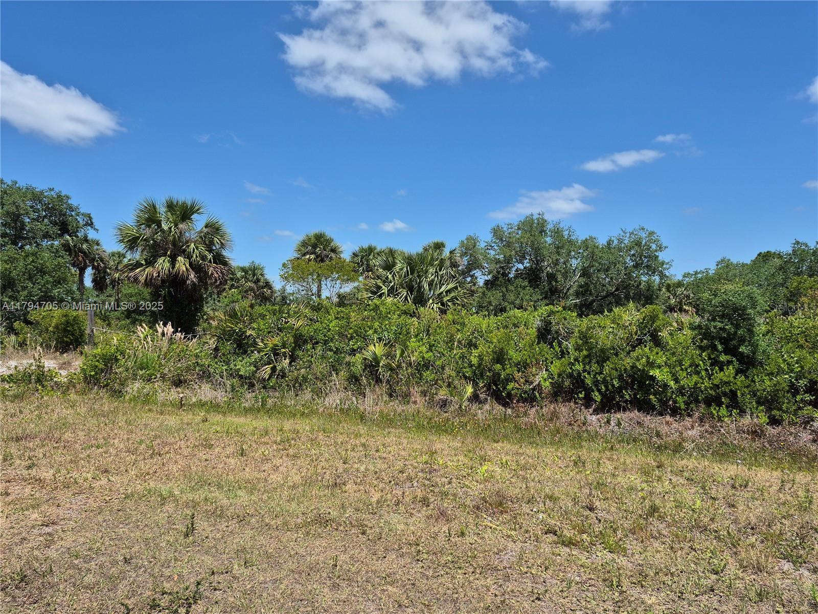 17763 NW 310th Street, Okeechobee FL 34974 photo 4