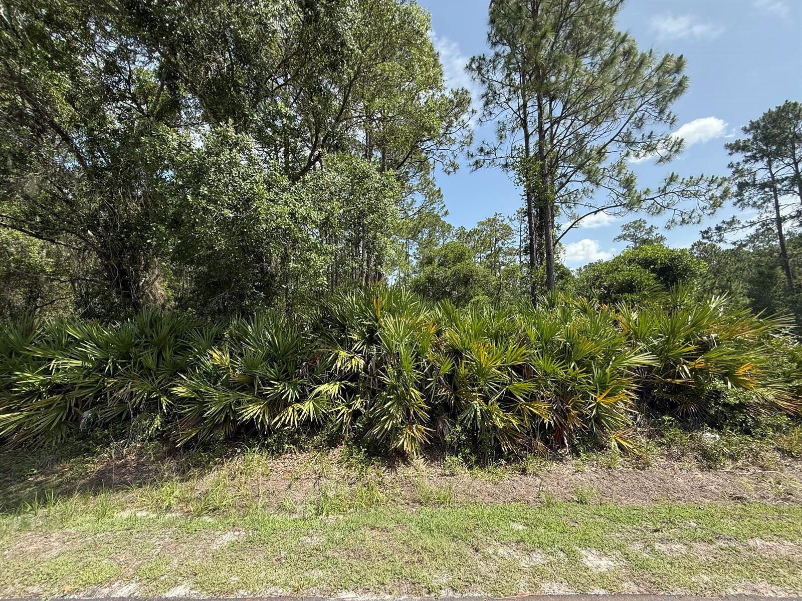 174 Millican Road, Palatka FL 32177 photo 4