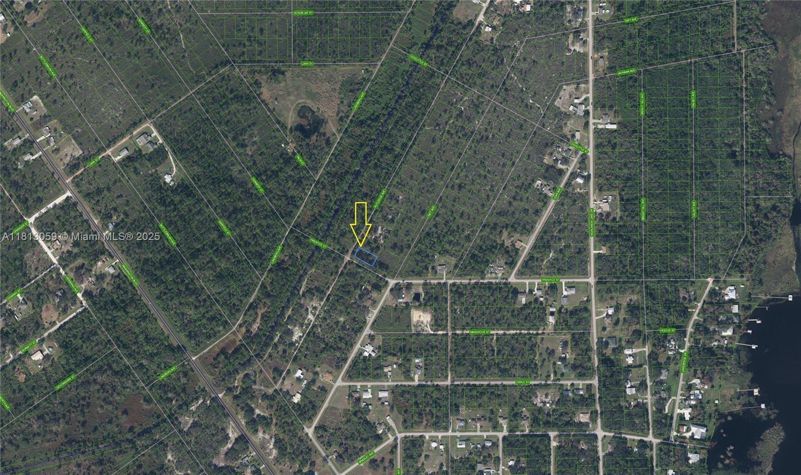 1401 RUTLEDGE AVE, Lake Placid FL 33852