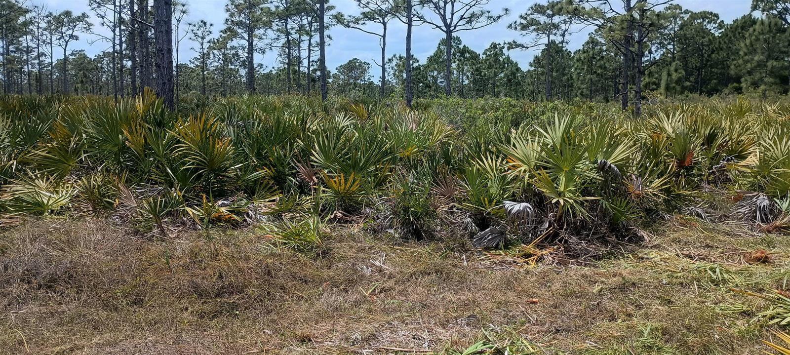 000 None, Grant Valkaria FL 32950 photo 3