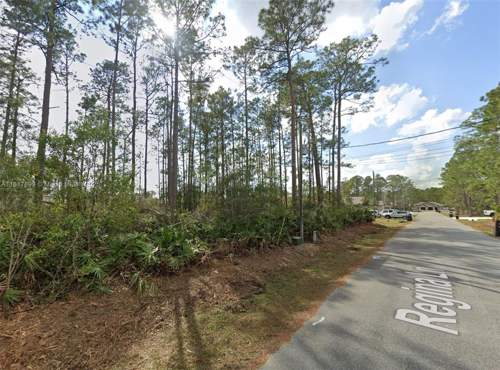 5 Regina Lane, Palm Coast FL 32164 photo 3