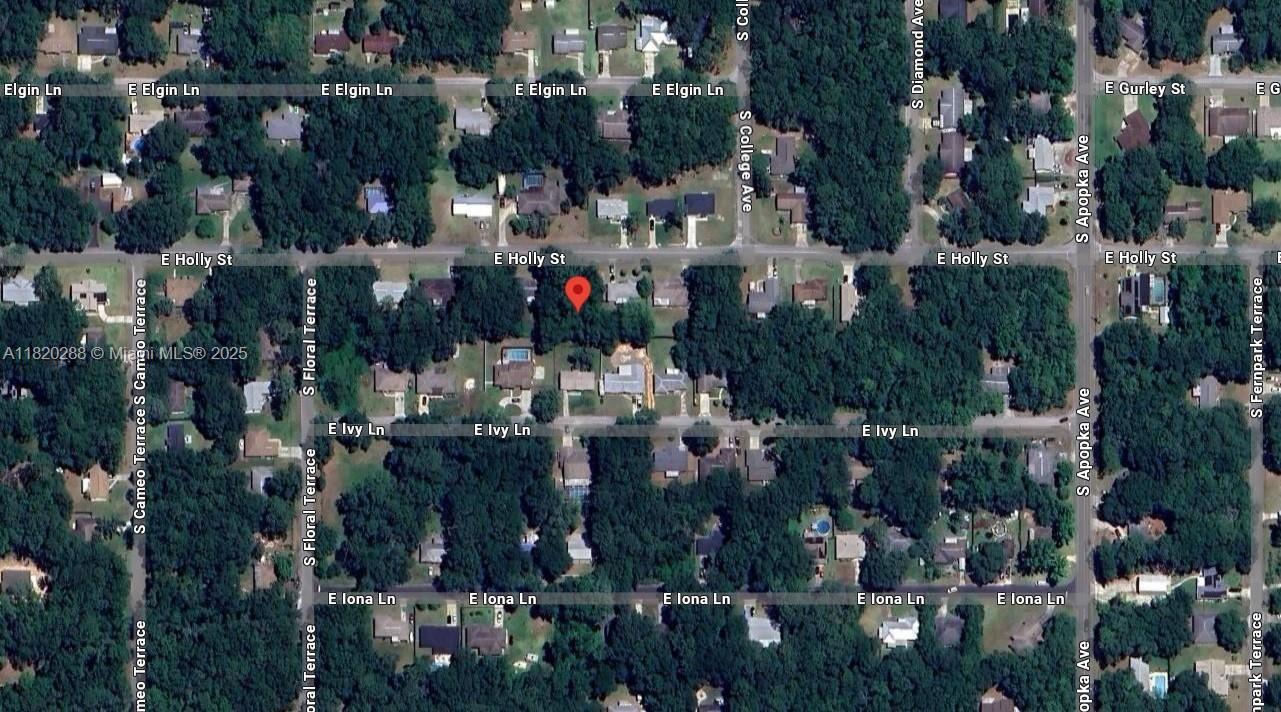 6122 E HOLLY ST, Inverness FL 34452 photo 2