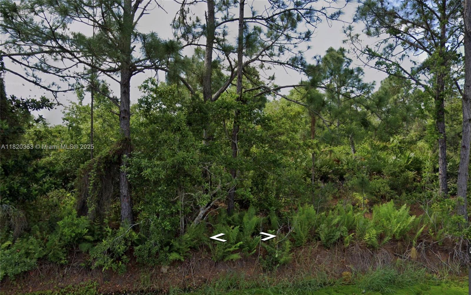 1008 NW Concorde Pkwy, Lake Placid FL 33852