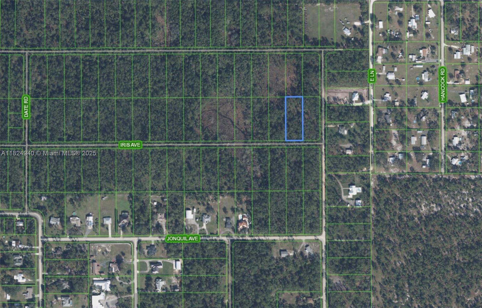 910 Iris Avenue, Sebring FL 33875 photo 2
