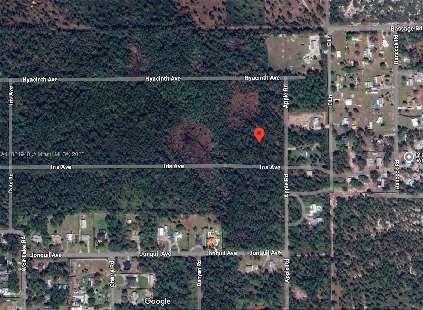 910 Iris Avenue, Sebring FL 33875 photo 3