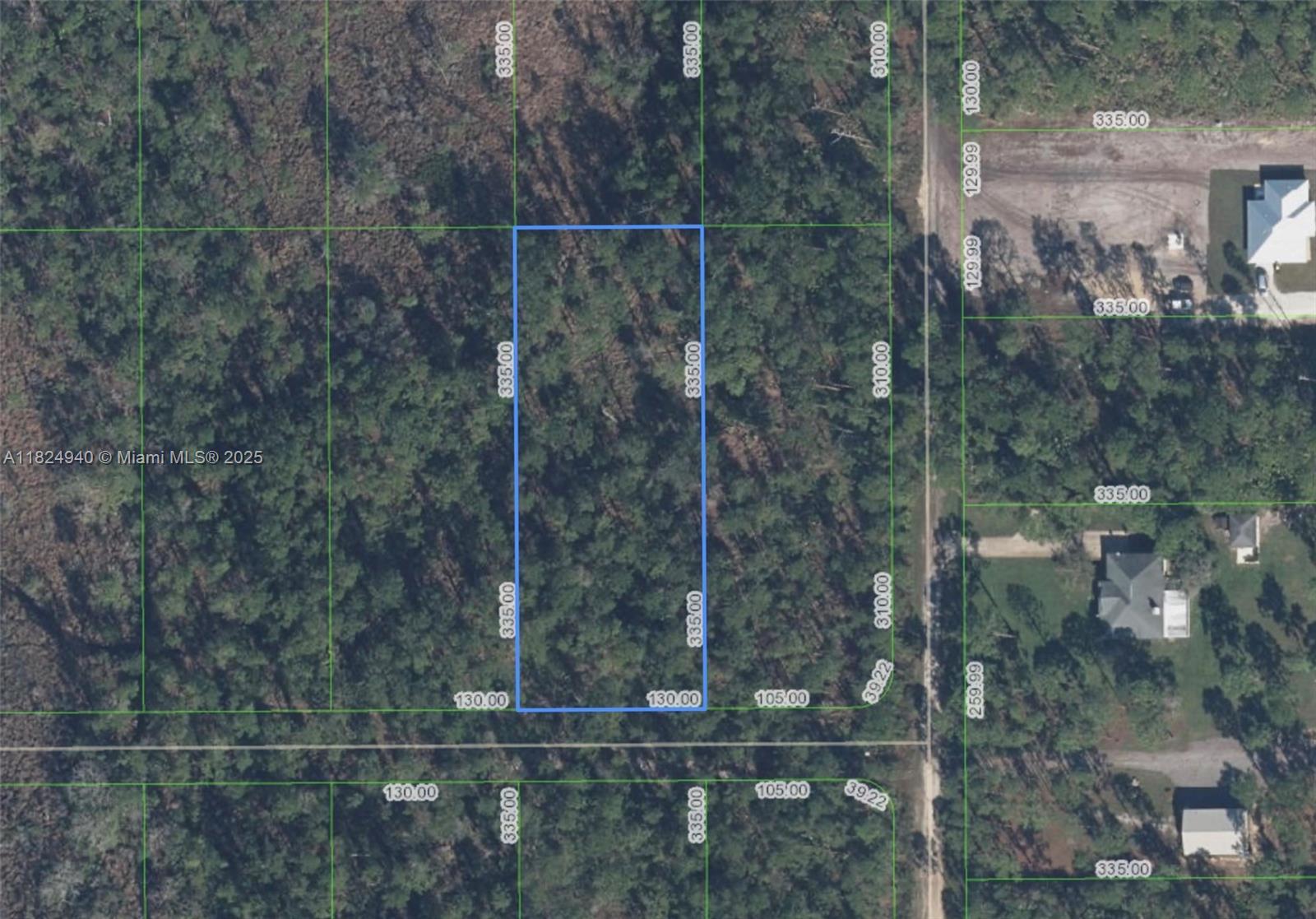 910 Iris Avenue, Sebring FL 33875