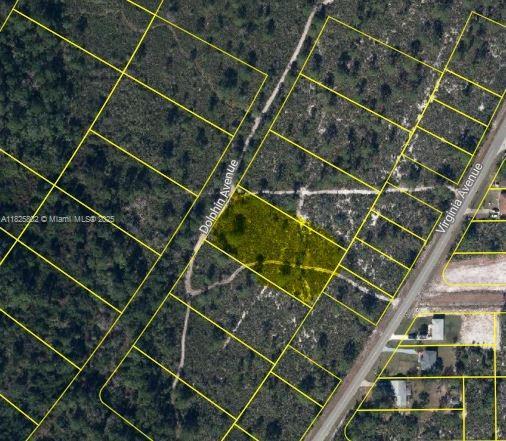 719 Dolphin Ave, Lake Placid FL 33852 photo 2