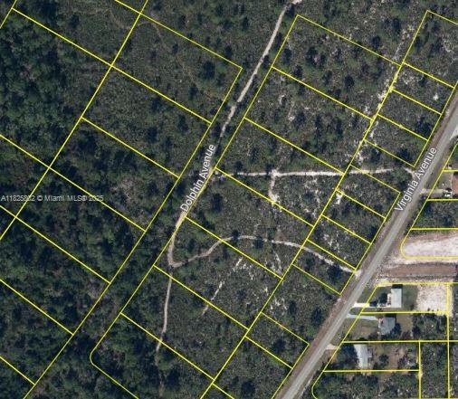719 Dolphin Ave, Lake Placid FL 33852