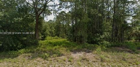 145 N MAYORAL STREET, Clewiston FL 33440 photo 2