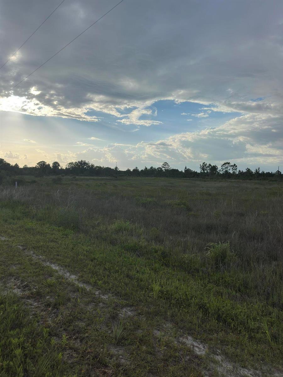 17757 NW 304th Street, Okeechobee FL 34972 photo 5