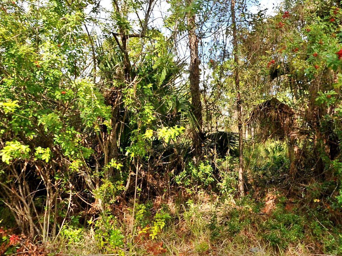 0 Haffenberg Ave Avenue, North Port FL 34288