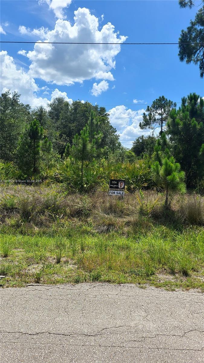817 Lincoln Avenue, Lehigh Acres FL 33972