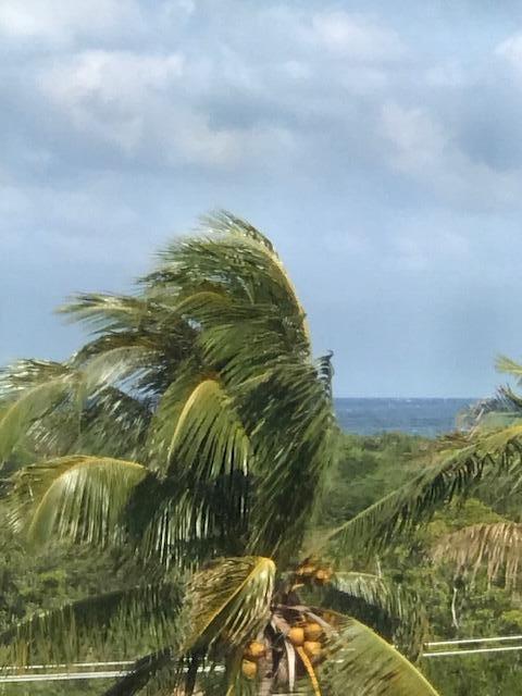 275 Palm Avenue # C503, Jupiter FL 33477