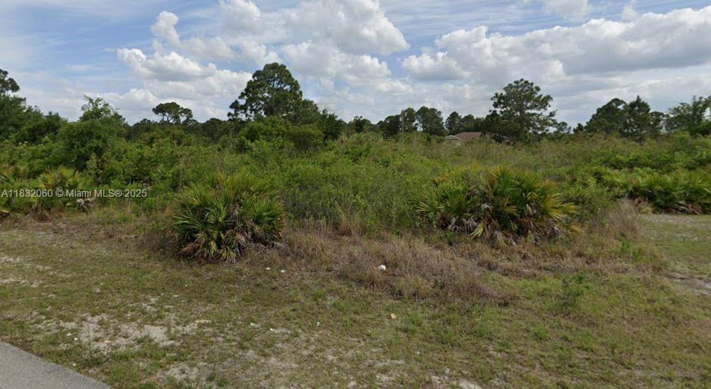 2703 40th St W, Lehigh Acres FL 33971 photo 3