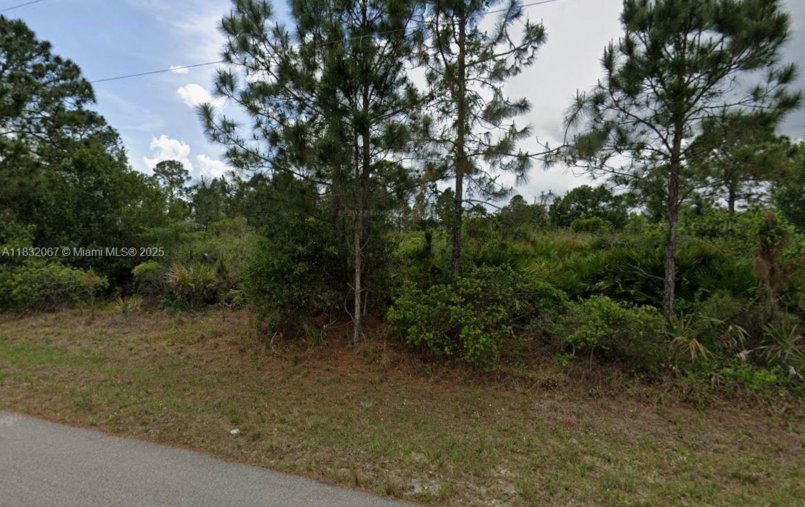 3111 45th St W, Lehigh Acres FL 33971 photo 2