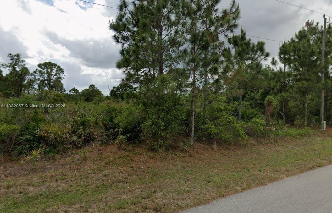 3111 45th St W, Lehigh Acres FL 33971 photo 3