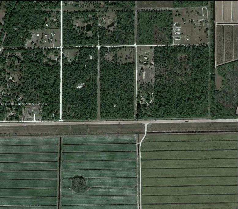 305 Yeehaw Ave, Clewiston FL 33040 photo 3