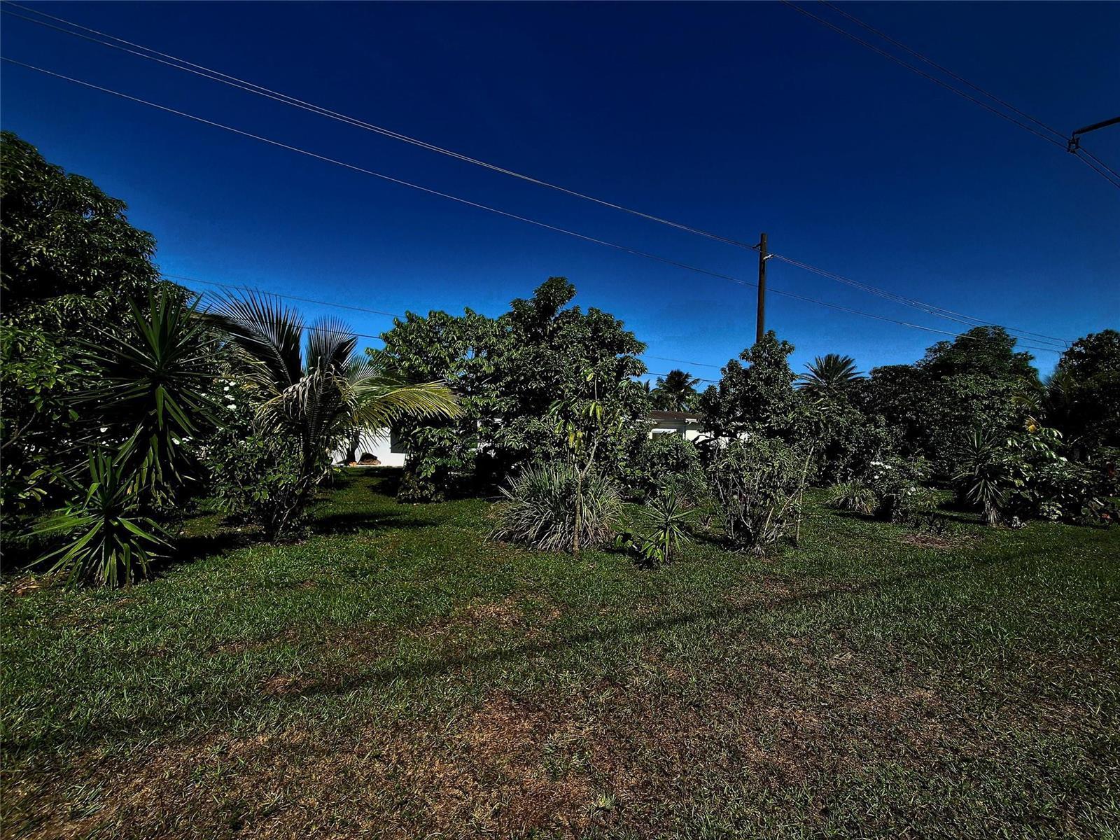 1390 NW 70th Lane, Margate FL 33063 photo 5