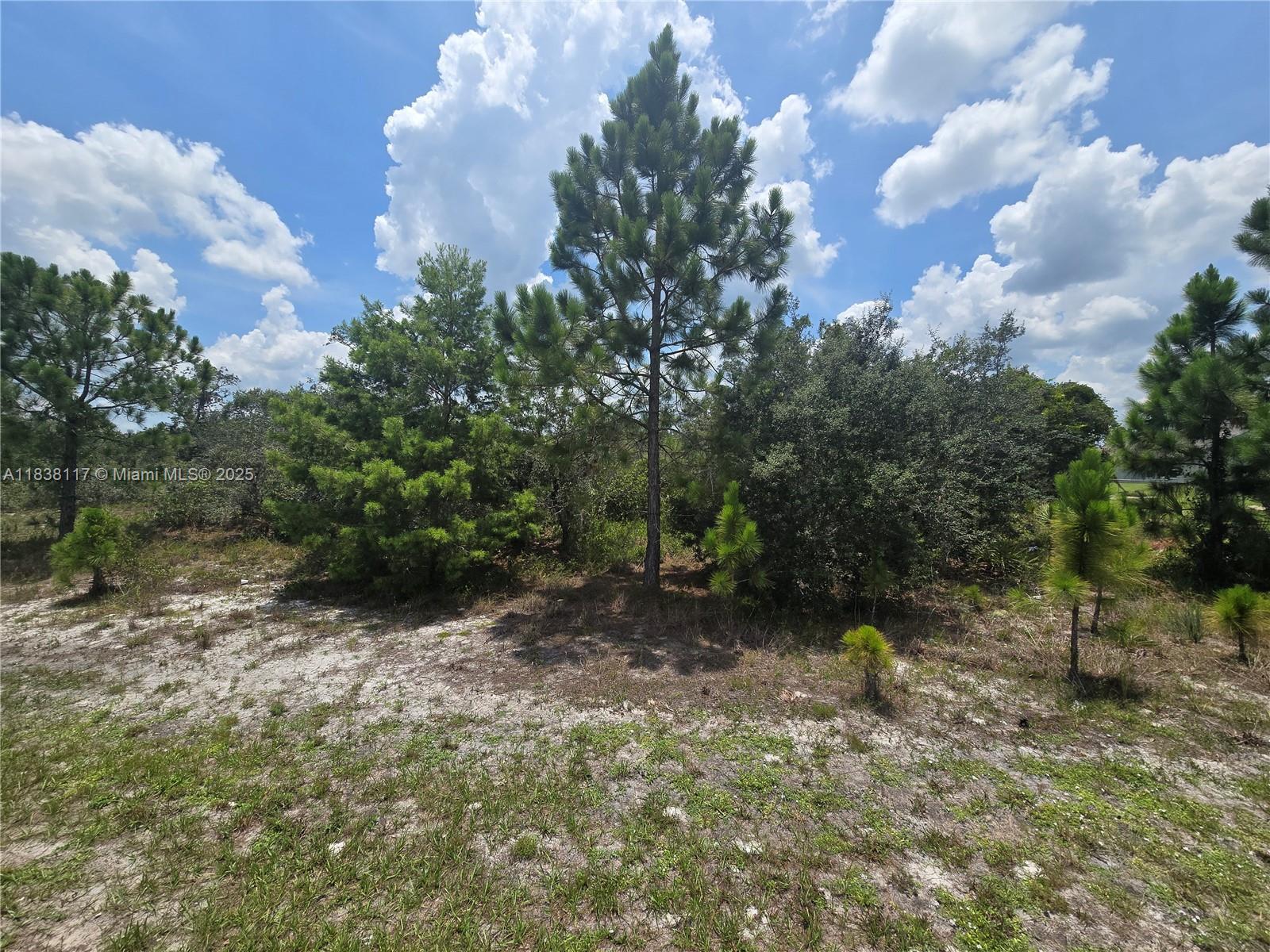 4663 Ponce De Leon Boulevard, Sebring FL 33872 photo 2