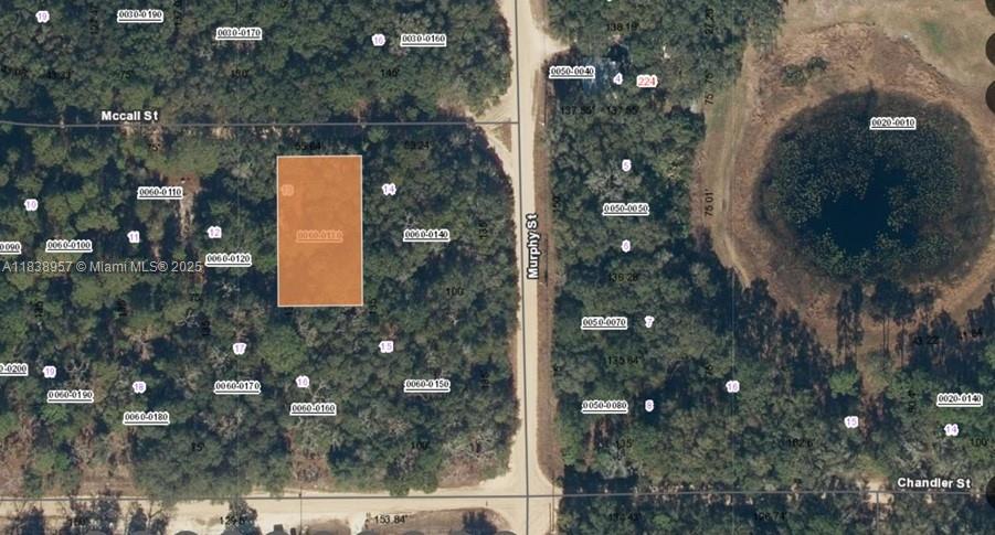 0 McCALL ST, Other City - In The State Of Florida FL 32148 photo 2