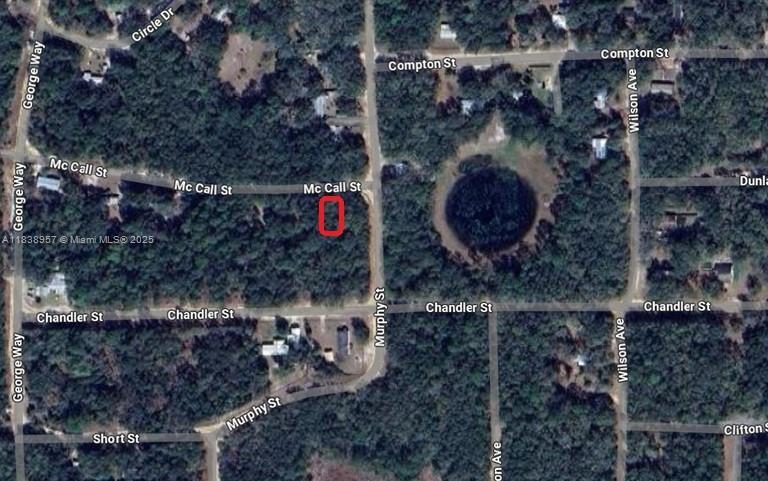 0 McCALL ST, Other City - In The State Of Florida FL 32148