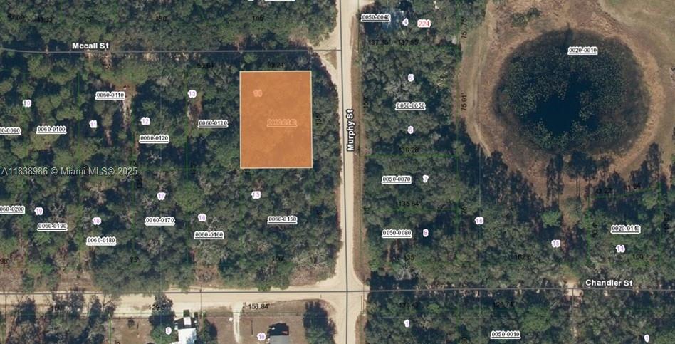 0 McCALL ST, Other City - In The State Of Florida FL 32148 photo 2
