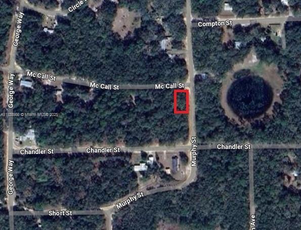 0 McCALL ST, Other City - In The State Of Florida FL 32148