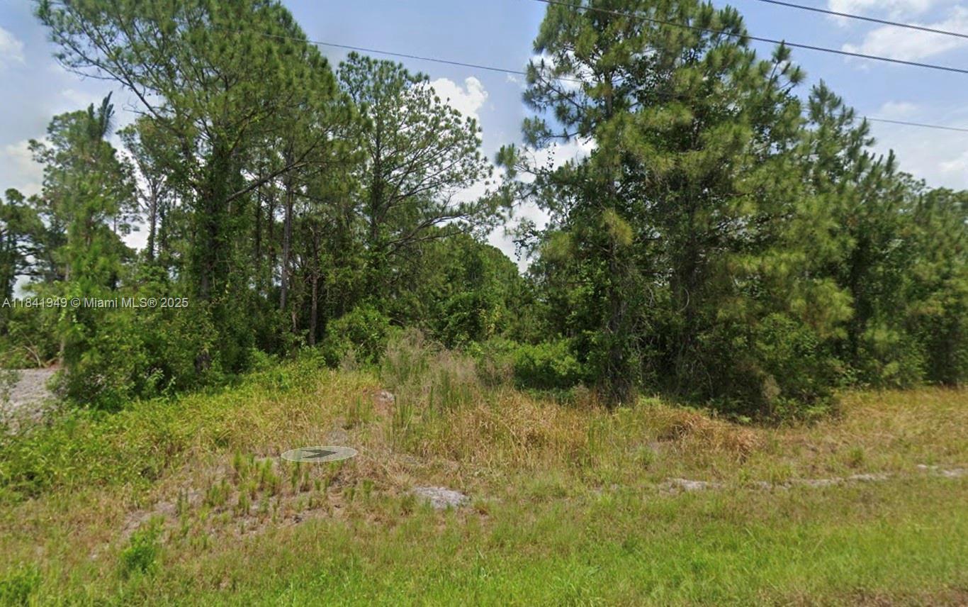 4241 GERONA AVE, Sebring FL 33872 photo 3