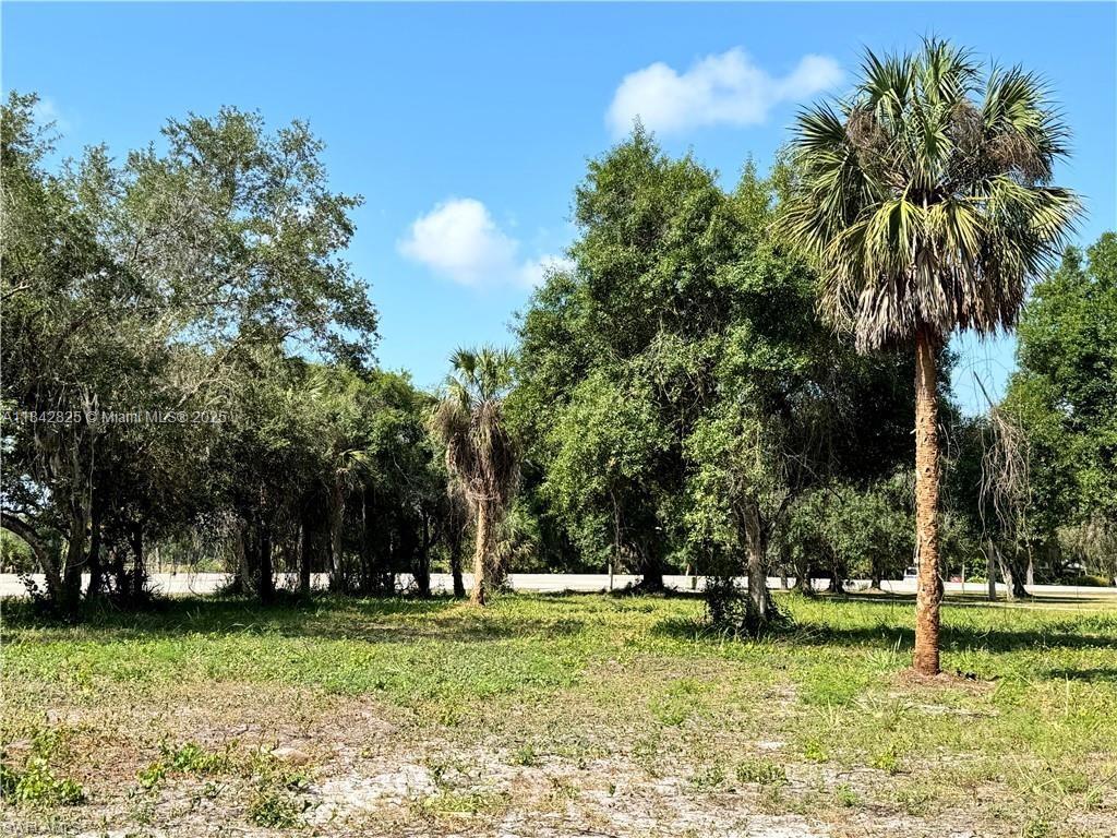 0 Magnolia Ave, La Belle FL 33935 photo 5