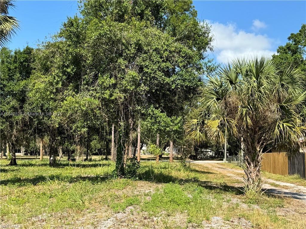 0 Magnolia Ave, La Belle FL 33935 photo 4