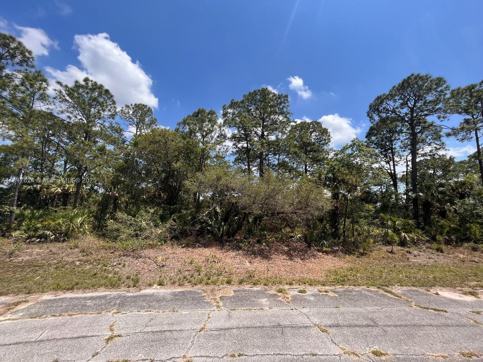 322 James Irwin, La Belle FL 33935