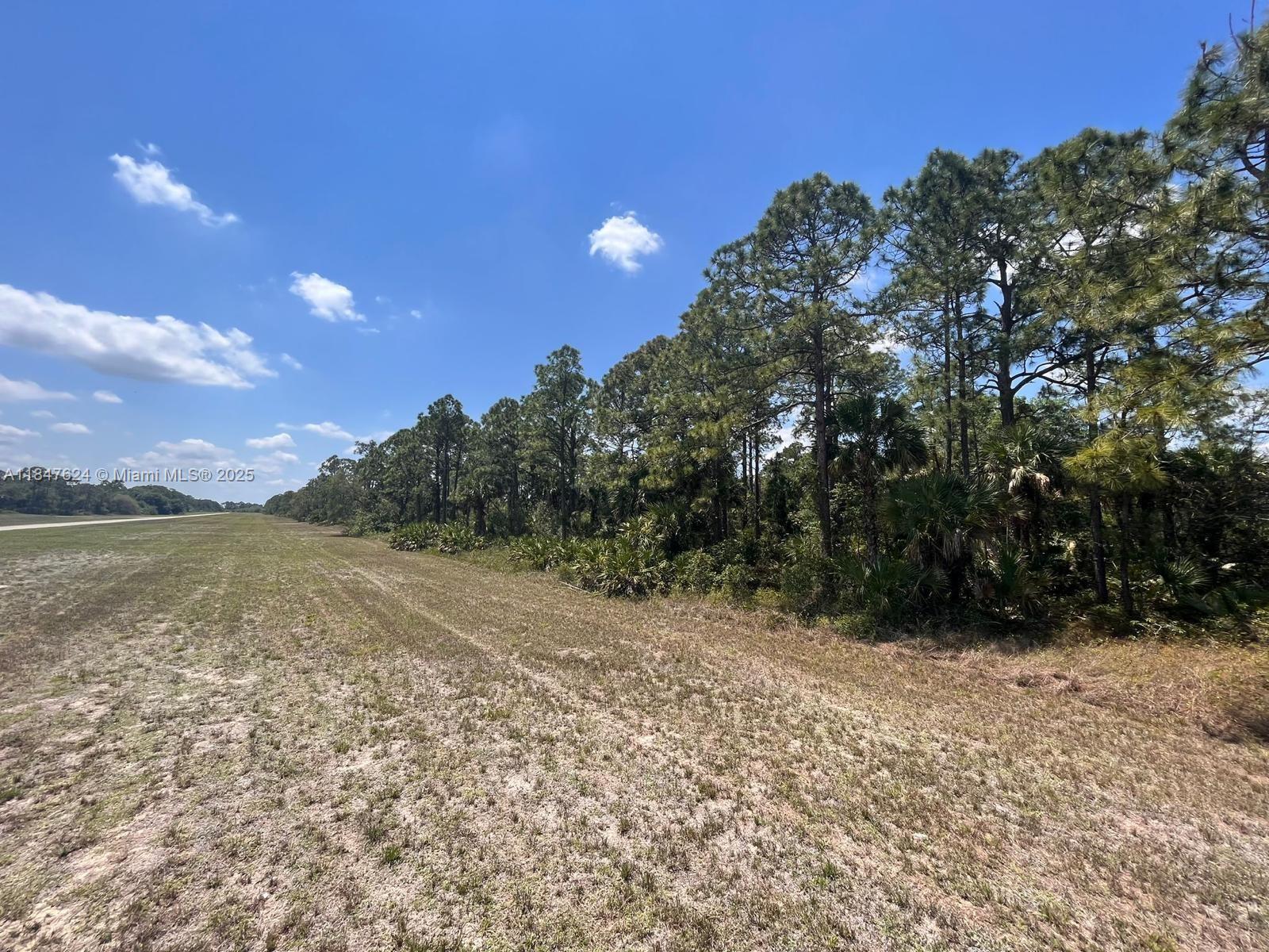 322 James Irwin, La Belle FL 33935 photo 4