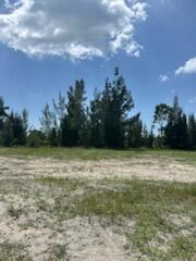824 NE 23rd Terrace, Cape Coral FL 33909 photo 3