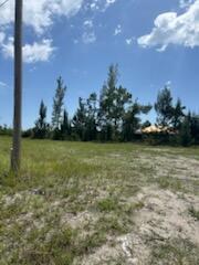 824 NE 23rd Terrace, Cape Coral FL 33909 photo 4