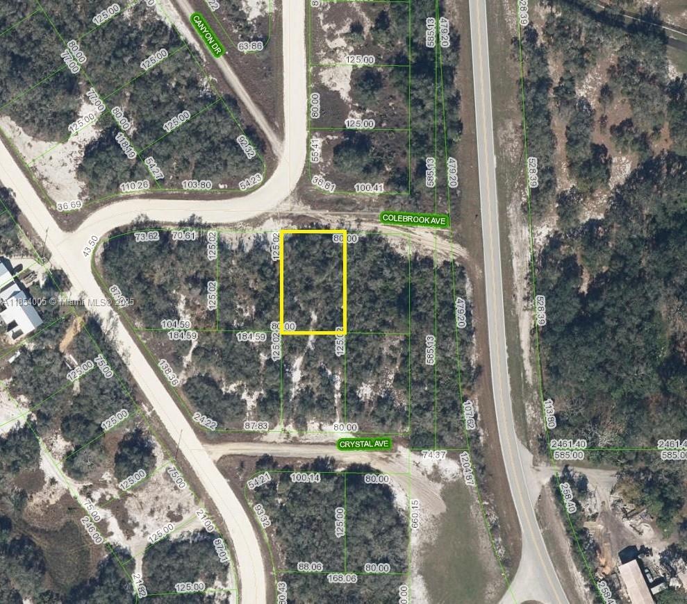 105 Colebrook Ave, Lake Placid FL 33852