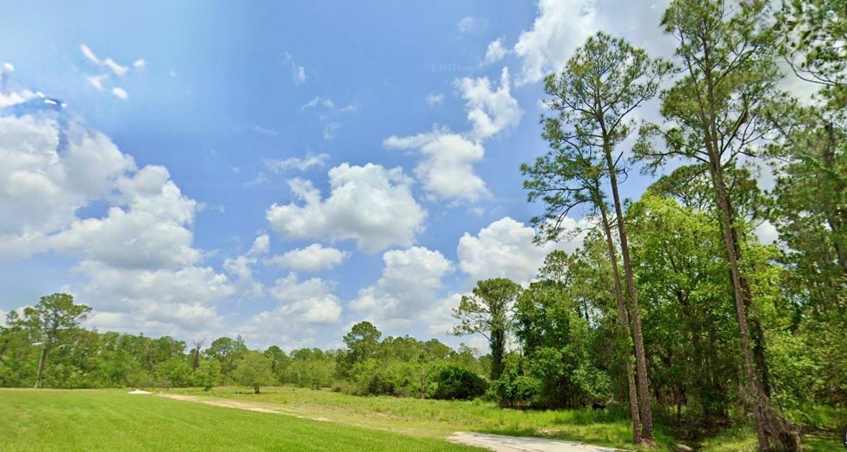 1218 Iris Avenue, Sebring FL 33875 photo 2