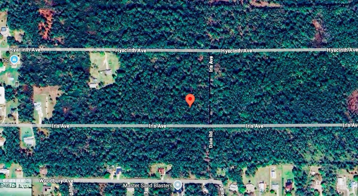 1218 Iris Avenue, Sebring FL 33875 photo 4