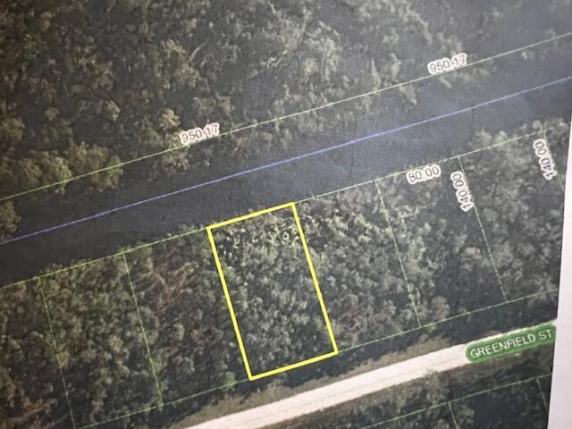 1123 Greenfield Street, Lake Placid FL 33852 photo 2